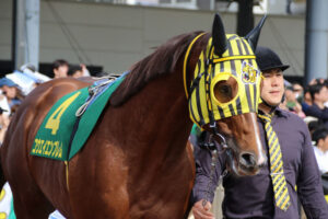 競馬 シャドーロールの意味と3つの効果を世界一わかりやすく解説 タケツム競馬